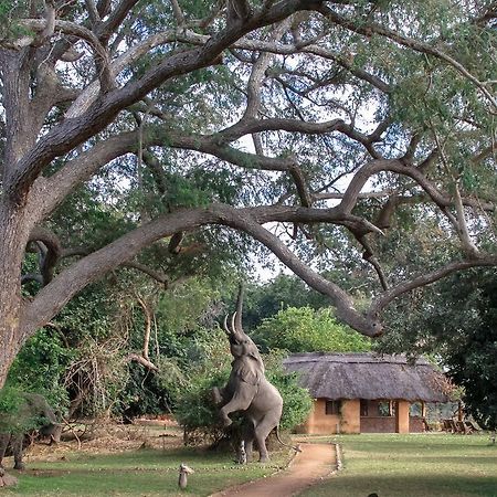 Track And Trail River Camp Kakumbi Exterior photo