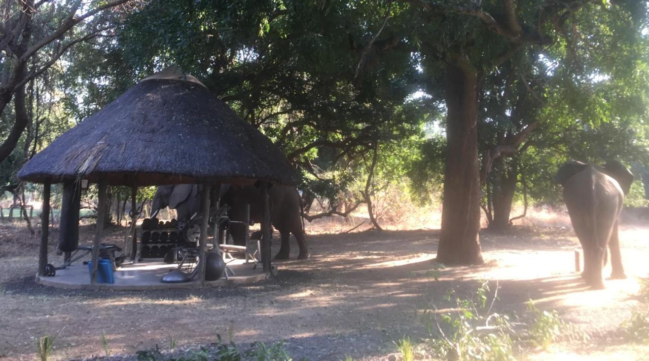 Track And Trail River Camp Kakumbi Exterior photo