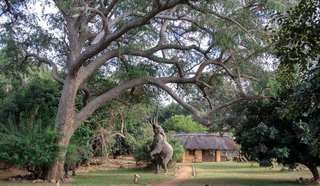 Track And Trail River Camp Kakumbi Exterior photo