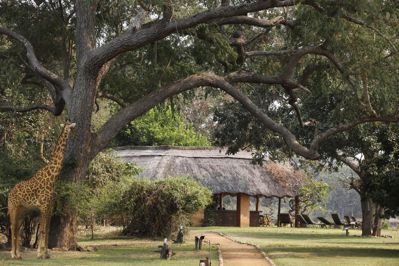 Track And Trail River Camp Kakumbi Exterior photo