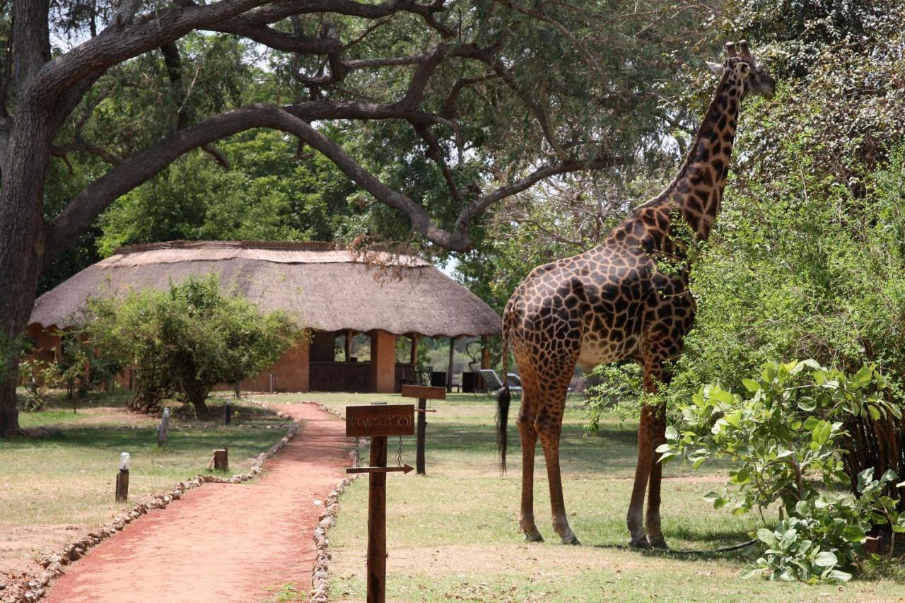 Track And Trail River Camp Kakumbi Exterior photo