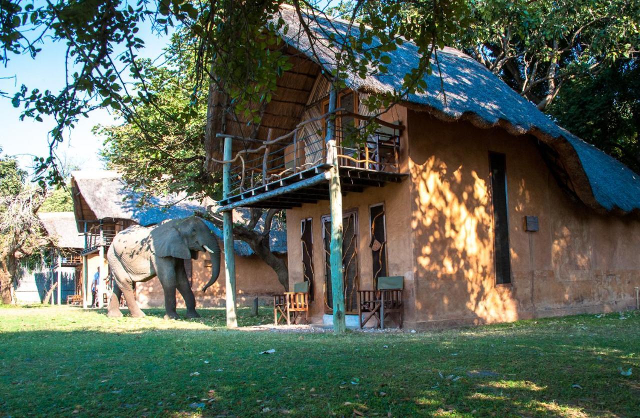 Track And Trail River Camp Kakumbi Exterior photo